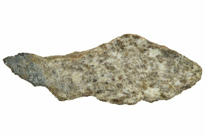 Lunar Meteorite ( g) Section - Laayoune #313358